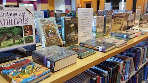 Bookplate Books 2 Photo of a display of library books