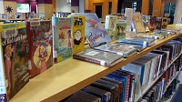 Photo of a display of library books on top of a library bookshelf