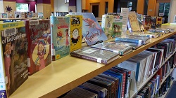 Photo of books on display on top of a library shelf