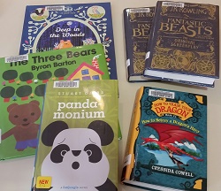 Photo of six library books spread out on a table