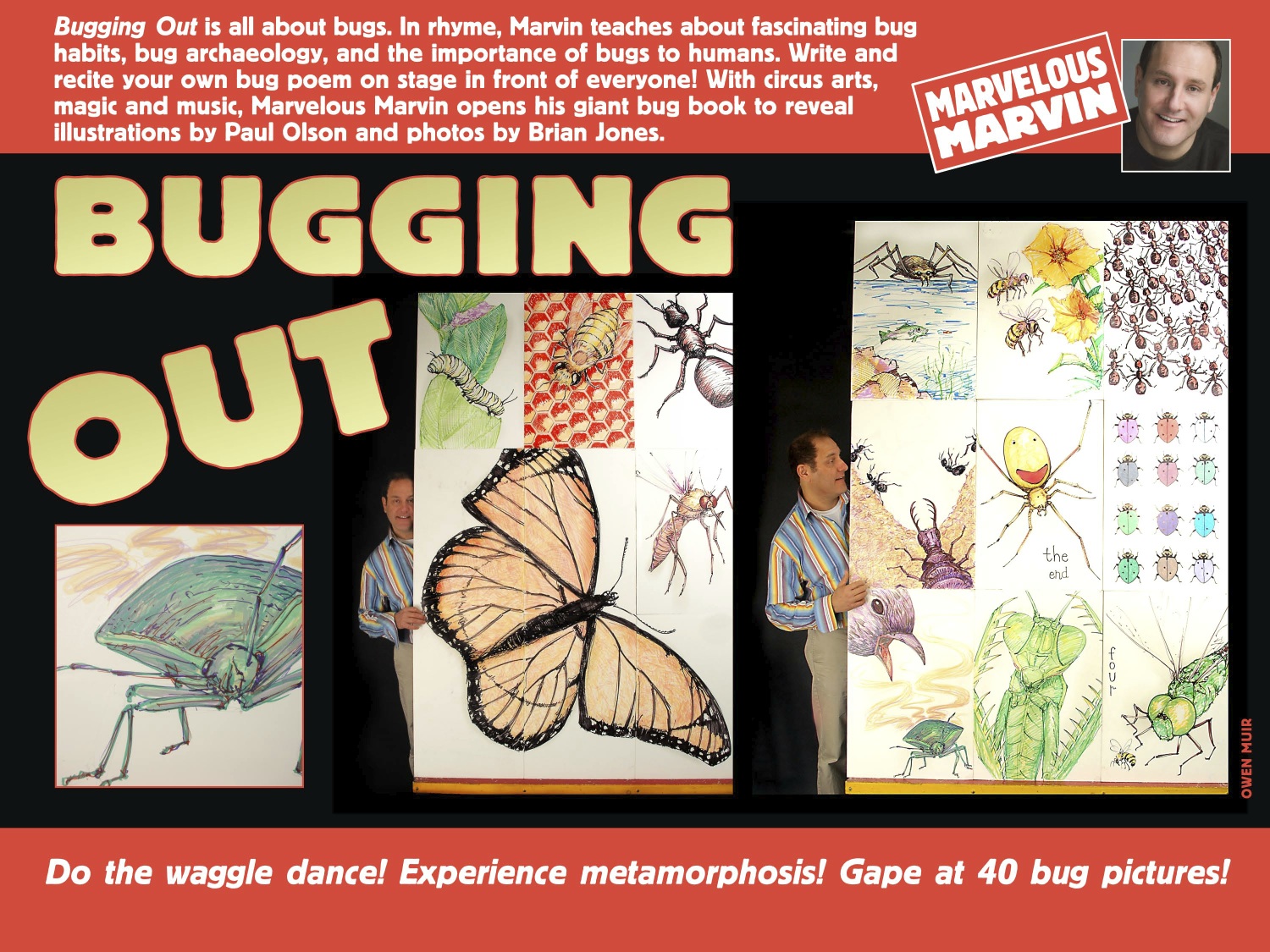Bugging Out Photo of a man standing behind very large illustrations of insects