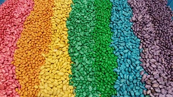 Photo of dried beans died in rainbow colors