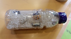 Photo of a plastic bottle filled with white rice and small toys