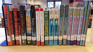 Photo of library books lined up on a shelf