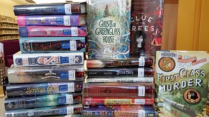 New Books November 2017 Photo of a stack of brand new library books