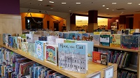 Photo of new library books lined up for display on top of a library bookshelf