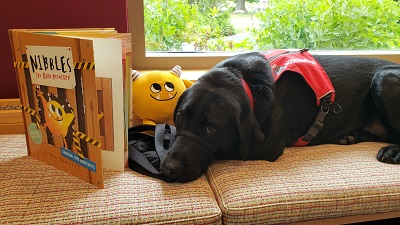 Yellow stuffed monster with black dog and a book