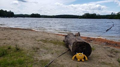 Yellow stuffed animal monster on a beach by a pond