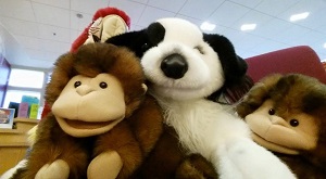 Photo of stuffed animals, including a dog, monkey, and parrot