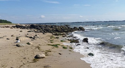 Photo of a seashore with a sea gull sitting on the sand