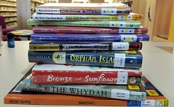 Photo of a stack of new library books on a desk