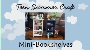 Mini Bookshelves