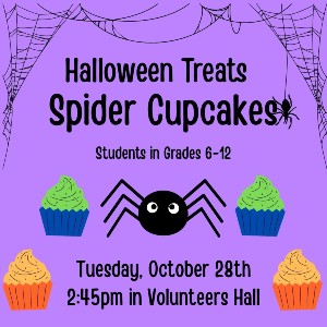 Teen Spider Cupcakes