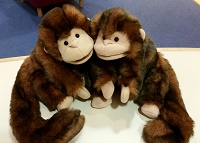 Photo of two stuffed animal monkeys sitting on a table