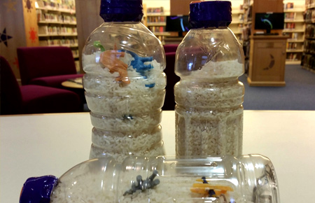 Photo of three plastic bottles filled with rice and small toys