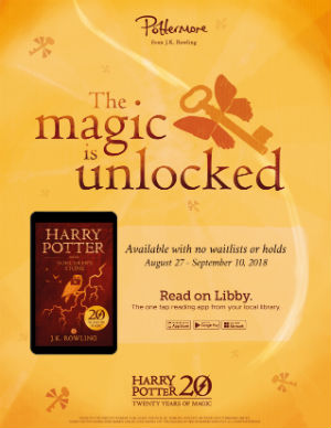 harry potter harry potter