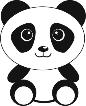 panda panda
