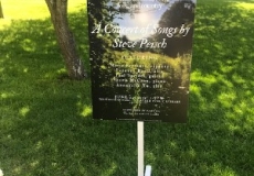A concert of songs