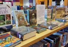 Bookplate Books 2 Photo of a display of library books