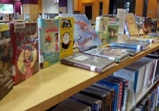 Bookplate book display Photo of books on display on top of a library shelf