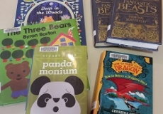 Photo of six library books spread out on a table