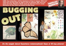 Bugging Out Photo of a man standing behind very large illustrations of insects