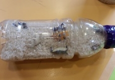 Photo of a plastic bottle filled with white rice and small toys