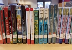 Photo of library books lined up on a shelf