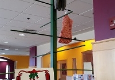 Photo of a wooden tree with a mitten on it