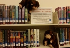 Photo of two monkey puppets looking at books on a library bookshelf