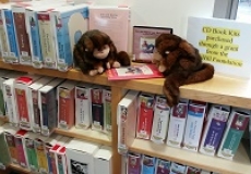 Photo of two monkey puppets looking at cd book kits on a library shelf