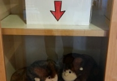 Photo of two monkey puppets in a glass display case