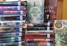 New Books November 2017 Photo of a stack of brand new library books