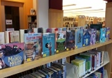 Photo of new library books lined up for display on top of a library bookshelf