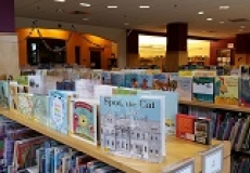 Photo of new library books lined up for display on top of a library bookshelf