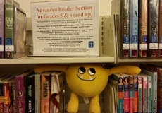 Nibbles and the Advanced Reader Books Photo of a yellow stuffed animal monster on a shelf of library books