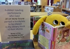 Photo of a yellow stuffed animal monster reading a book