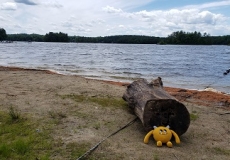 Yellow stuffed animal monster on a beach by a pond