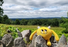 Yellow stuffed monster on stone wall by green fields