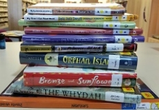 Photo of a stack of new library books on a desk