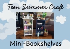 Mini Bookshelves