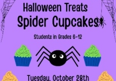 Teen Spider Cupcakes