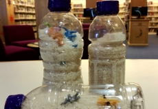 Photo of three plastic bottles filled with rice and small toys