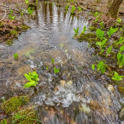 stream stream
